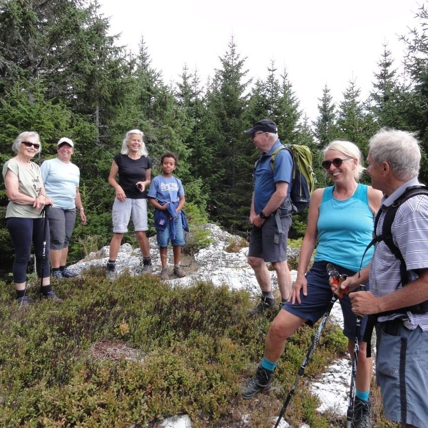 Eine Gruppe von Wanderern, die Sonnenbrillen und Wanderausrüstung tragen, steht auf einem felsigen Vorsprung mit einem dichten Wald dahinter, unter einem hellen Himmel.