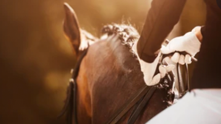 v1_migrated_image_61737568