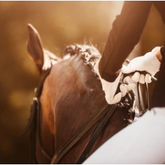 v1_migrated_image_40922034