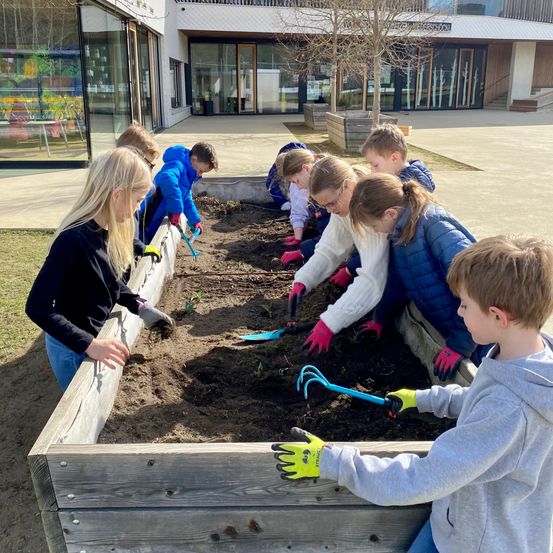 Schüler in Handschuhen und Jacken arbeiten in einem hölzernen Hochbeet vor einem Gebäude mit Glaswänden.