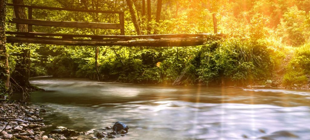 Eine friedliche Waldszene mit einer Holzbrücke über einem fließenden Fluss. Die Sonne scheint hell und wirft warme Strahlen durch die Bäume.