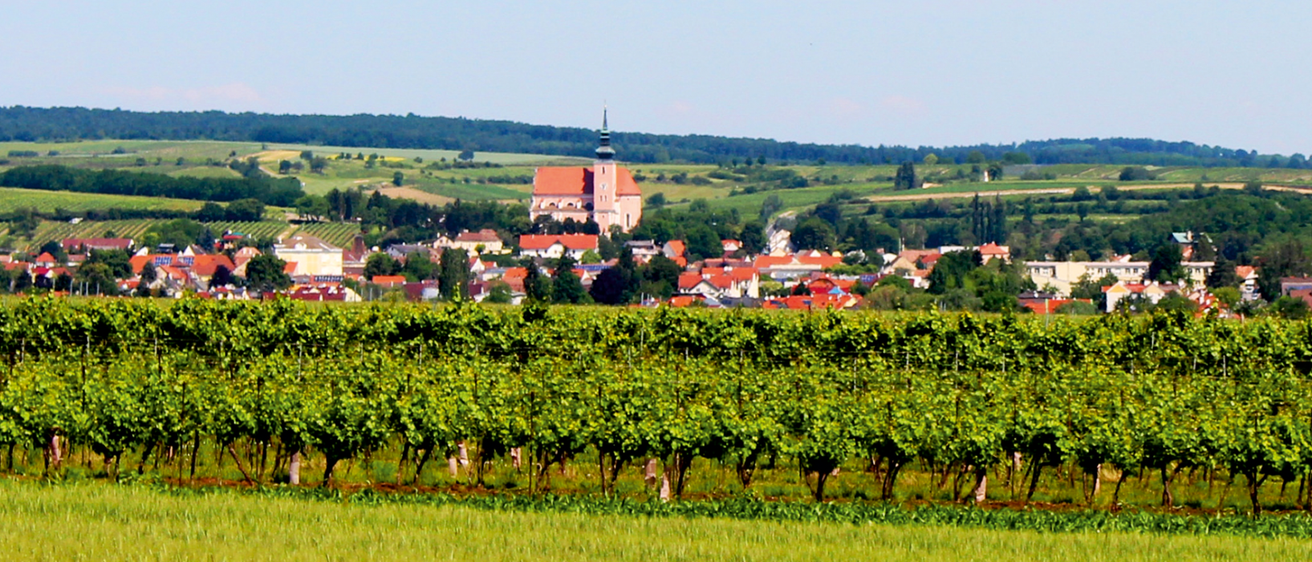 v1_migrated_image_62137052