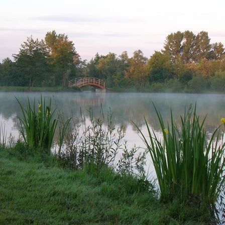 Eine ruhige Landschaft mit einem See und einer Holzbrücke, umgeben von üppigem Baumbestand und Pflanzen unter einem bewölkten Himmel.