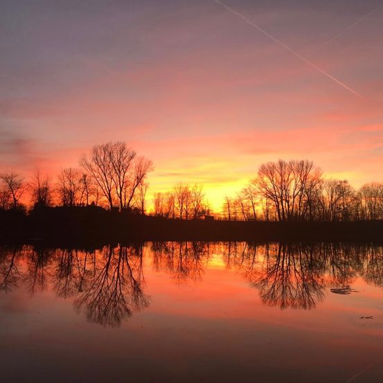 Ein ruhiger See spiegelt die orangen und rosafarbenen Farbtöne eines Sonnenuntergangs wider, mit kahlen Bäumen am Ufer.
