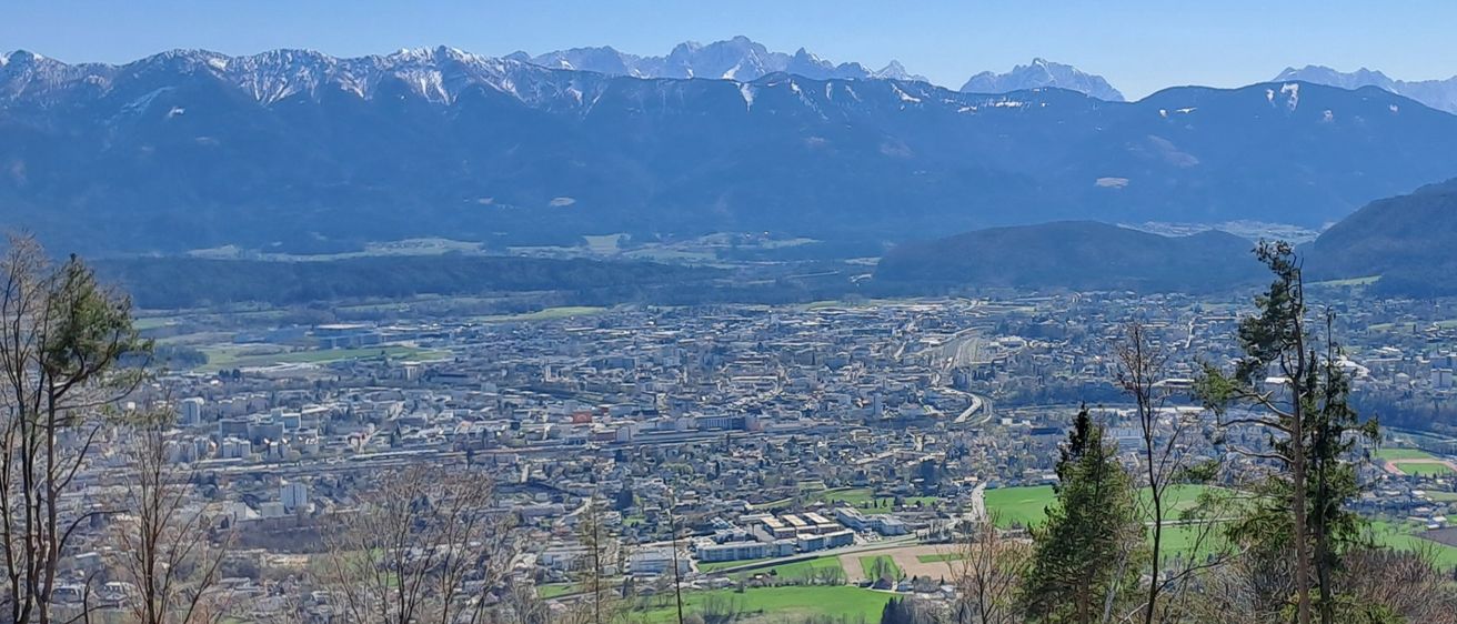 Ein Panoramablick auf eine Stadt mit einem dichten Wald im Vordergrund. Die Stadt ist von Hügeln und Bergen in der Ferne umgeben.