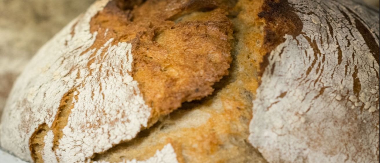 Bild enthält, Bread, Food, Bun