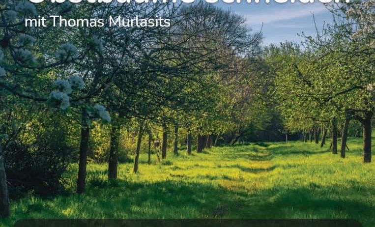 Advertisement, Poster, Vegetation, Nature, Outdoors, Pasture, Land, Woodland, Grassland, Grass