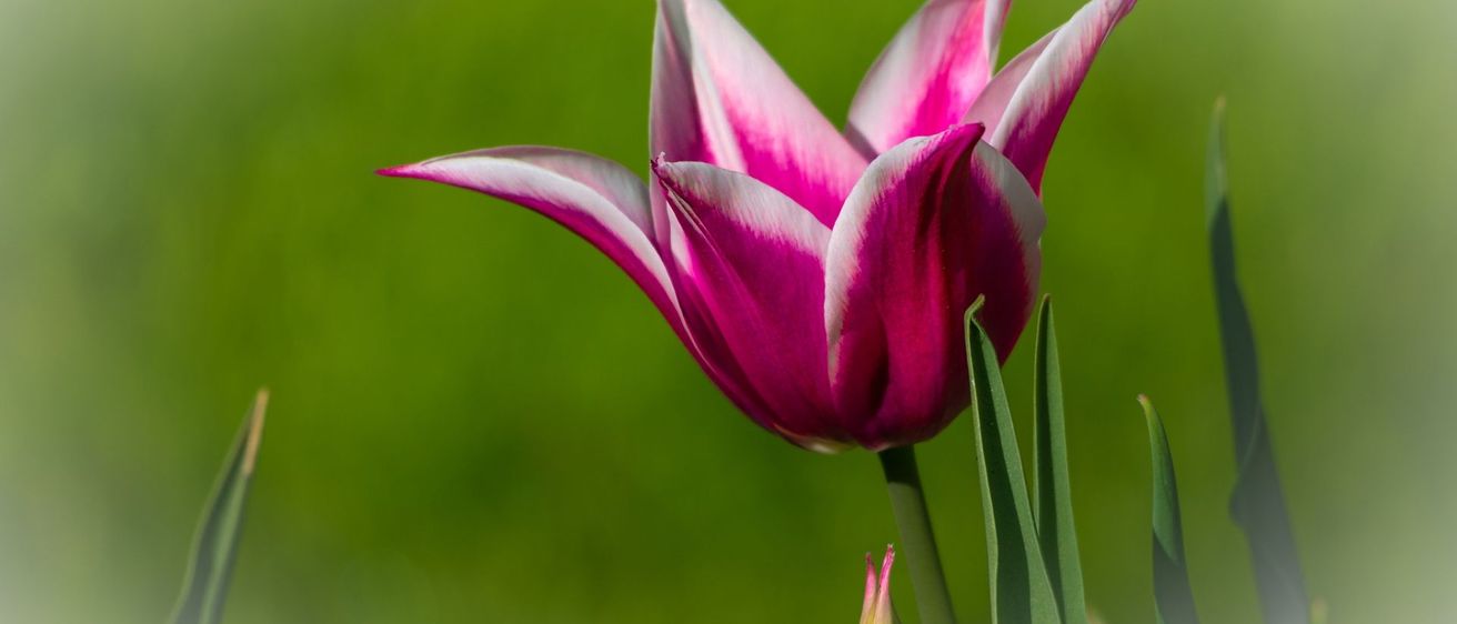 v1_migrated_image_21447016