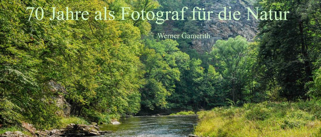 Jahre als Fotograf für die Natur. Werner Gamerith. Ein Fluss mit fließendem Wasser, umgeben von Bäumen.