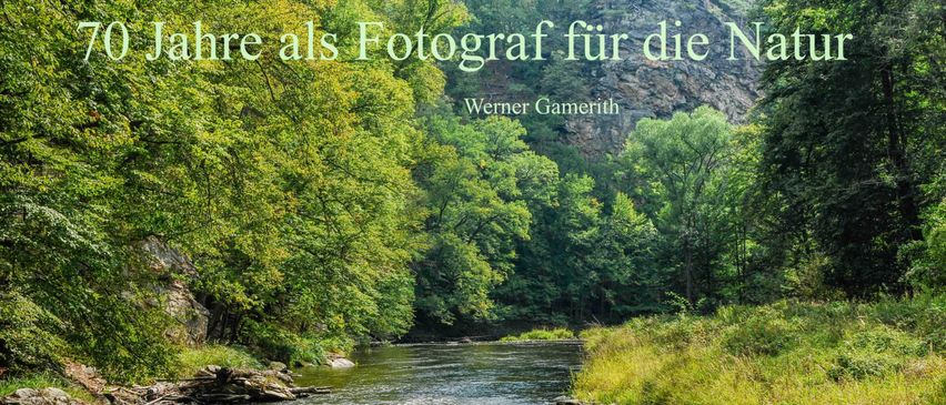 Jahre als Fotograf für die Natur. Werner Gamerith. Ein Fluss mit fließendem Wasser, umgeben von Bäumen.