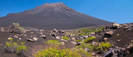 Eine Landschaft mit einem steilen Berg, bedeckt mit schwarzem Vulkanboden. Das felsige Gelände ist mit spärlicher Vegetation durchsetzt, darunter ein kleiner Strauch mit gelben Blüten. Der Himmel ist klar und blau.