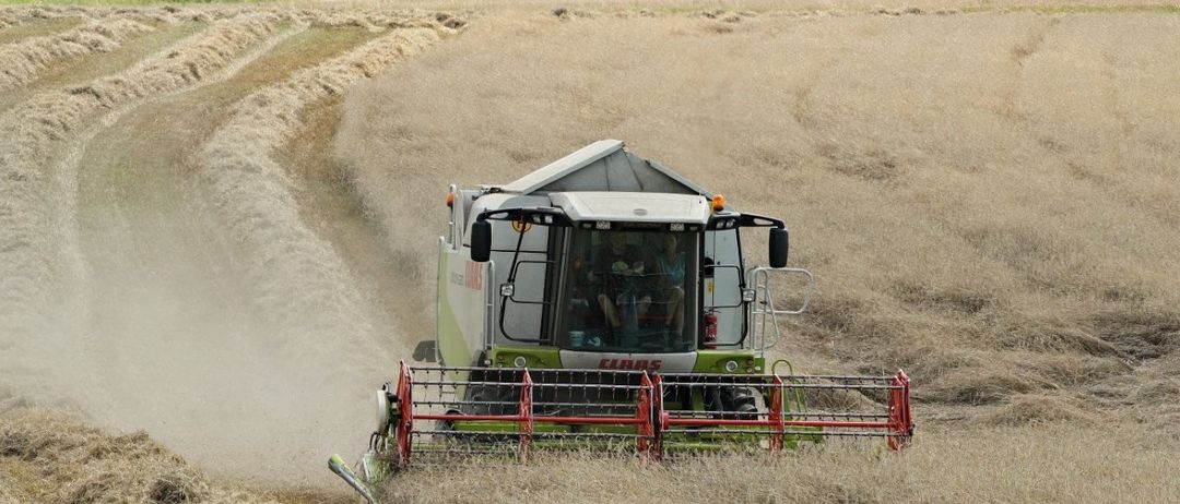 Ein großer grüner und roter Mähdrescher erntet Pflanzen in einem weiten Feld mit einer Kulisse aus Bäumen und Bergen.