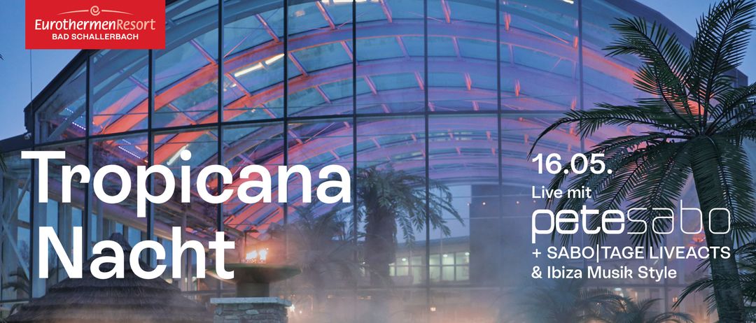 Ein Bild eines modernen Gebäudes mit einem gebogenen Dach, das durch eine Glasfassade und eine Palme davor gekennzeichnet ist, beleuchtet durch sanftes Licht.