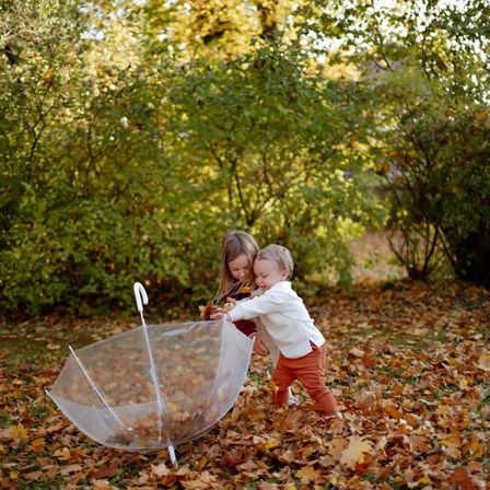 Zwei kleine Kinder spielen mit gefallenen Blättern in einem Wald. Das Mädchen hält einen Regenschirm, während der Junge nach den Blättern greift.