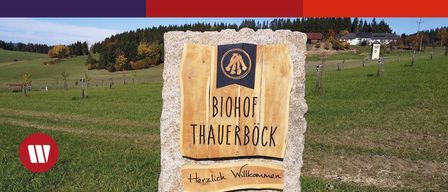 Ein Holzschild auf einem Stein mit der Aufschrift 'BIOHOF THAUERBOCK' und darunter eine Willkommensbotschaft. Im Hintergrund befindet sich ein grünes Feld und ein bewaldeter Hügel.