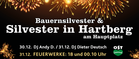 Plakat für einen Silvesterabend in Hart. DJ Andy D. am 31. Dezember. DJ Dieter. Feuerwerke um 18:00 und 00:10 Uhr.