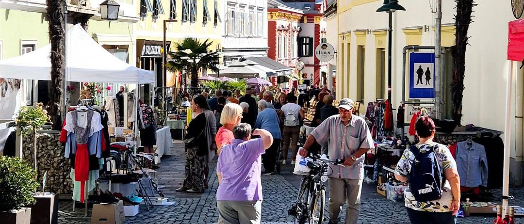 People stroll in a vibrant outdoor market. A banner reads 'Der Bio-Markt am Hartberger Hauptplatz'. Buildings line the street with palm trees and shops on either side.