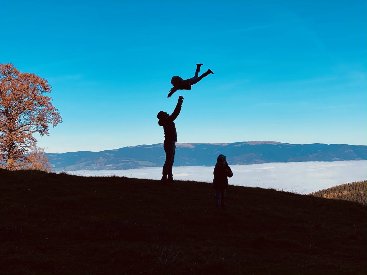 Bild enthält, Adult, Male, Man, Person, Backlighting