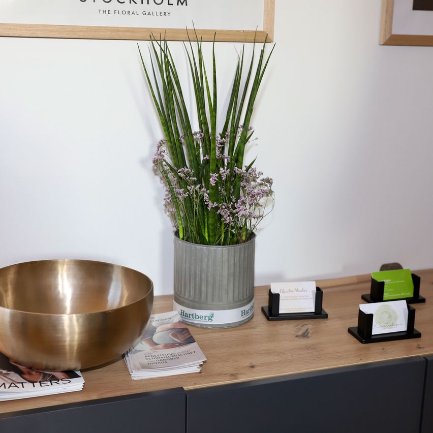 Bild enthält, Flower, Flower Arrangement, Plant, Ikebana, Plywood, Wood, Pottery, Flower Bouquet, Desk, Potted Plant