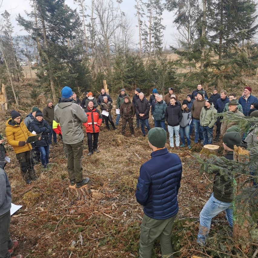 Bild enthält, Vegetation, Tree, Woodland, Hiking, Person, Wilderness, Soil, Adult, Male, Man