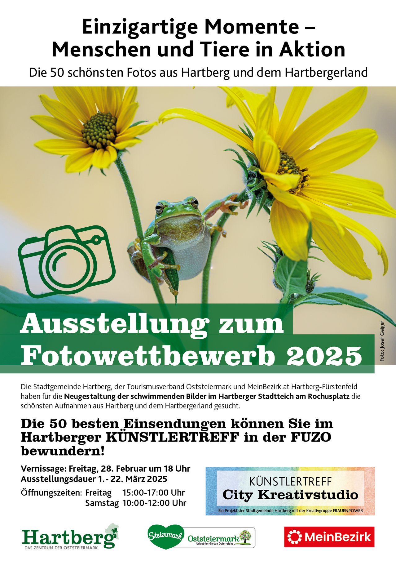 Bild enthält, Advertisement, Poster, Flower, Plant, Sunflower