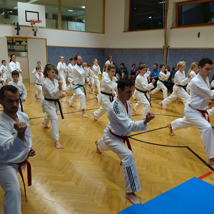 Eine Gruppe von Kampfsportschülern übt ihre Bewegungen auf einem Holzboden, während Zuschauer von der Seite zusehen.