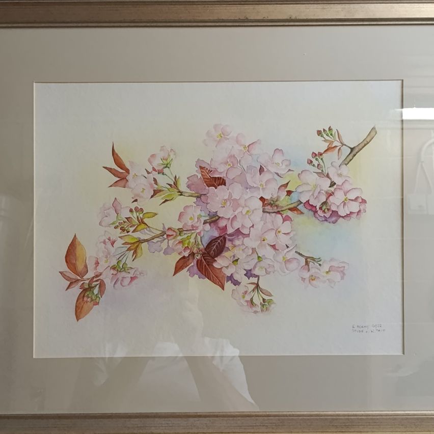 Eine Aquarellmalerei von Kirschblüten in voller Blüte, mit rosa Blüten und grünen Blättern, gerahmt in einem Holzrahmen.