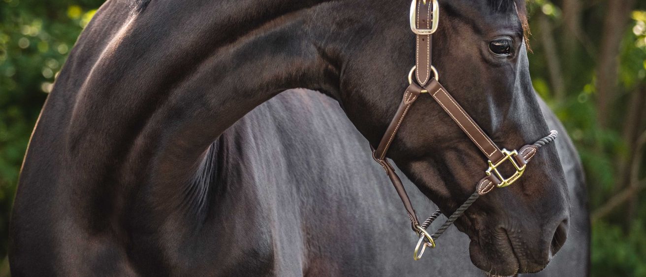 DruckdateiValentinaKoidl8