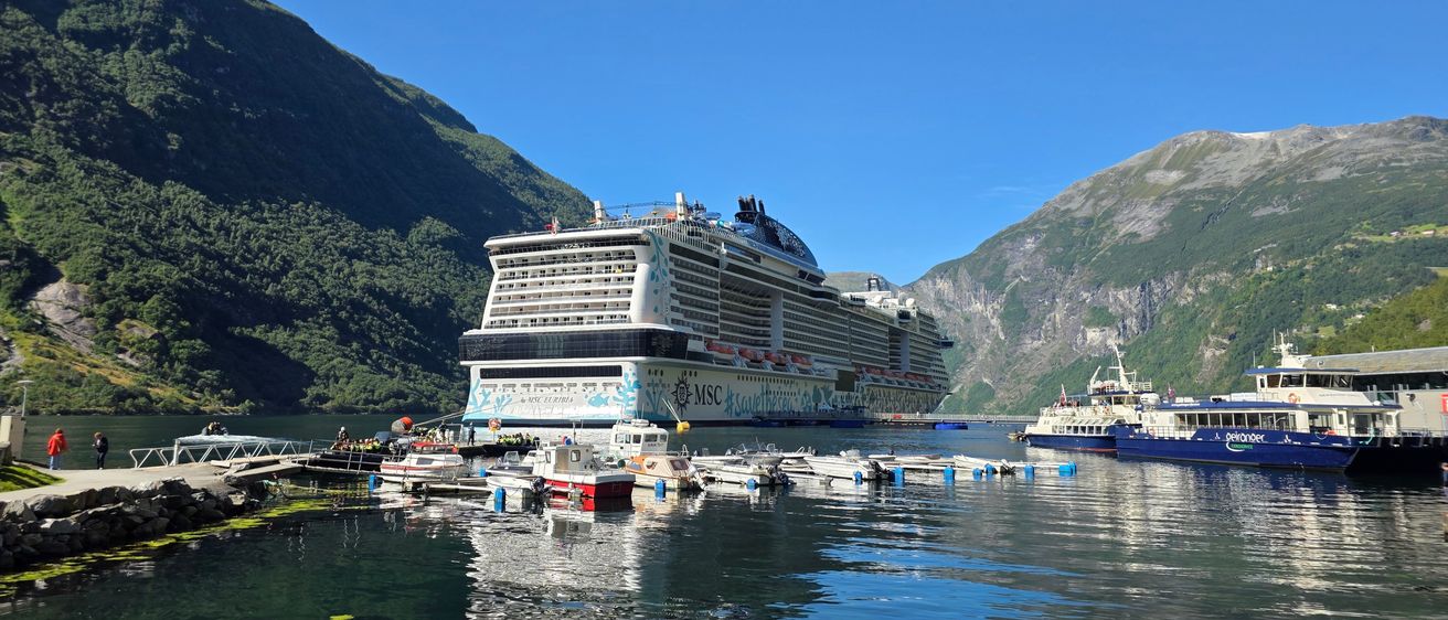 Ein großes Kreuzfahrtschiff mit der Aufschrift 'MSC' liegt in einem Hafen mit Bergen im Hintergrund.