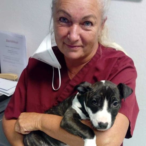 Bild enthält, Face, Person, Photography, Portrait, Adult, Female, Woman, Doctor, Coat, Veterinarian