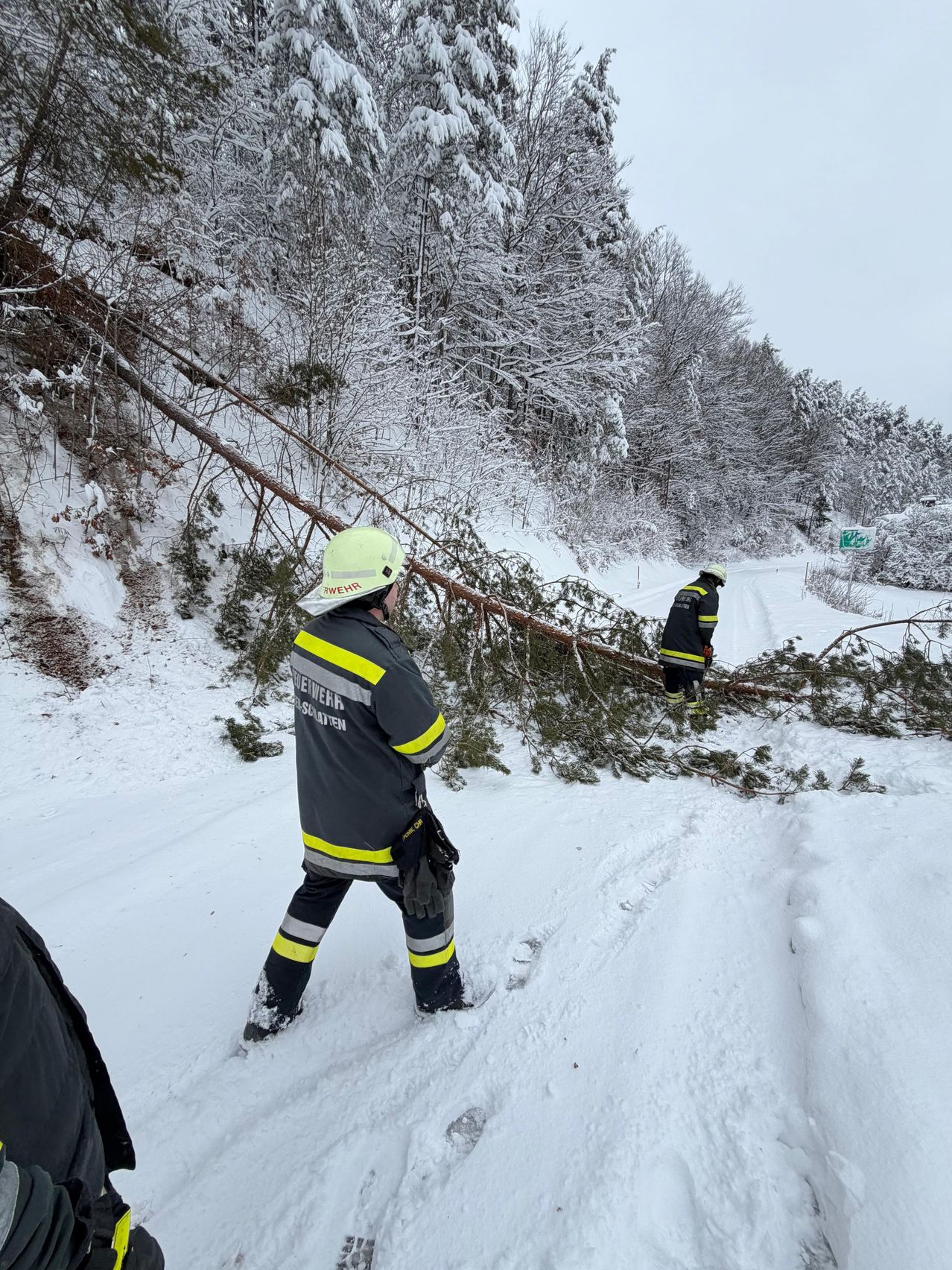 Two firefighters in uniform are removing a fallen tree from a snowy road. One wears a yellow helmet and looks on, while the other cuts the branches.