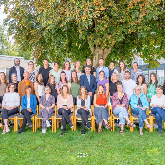 Eine Gruppe von Menschen versammelt sich in einem Park, sitzt auf Stühlen unter einem großen Baum, festgehalten in einem Foto mit dem Jahr 2025.