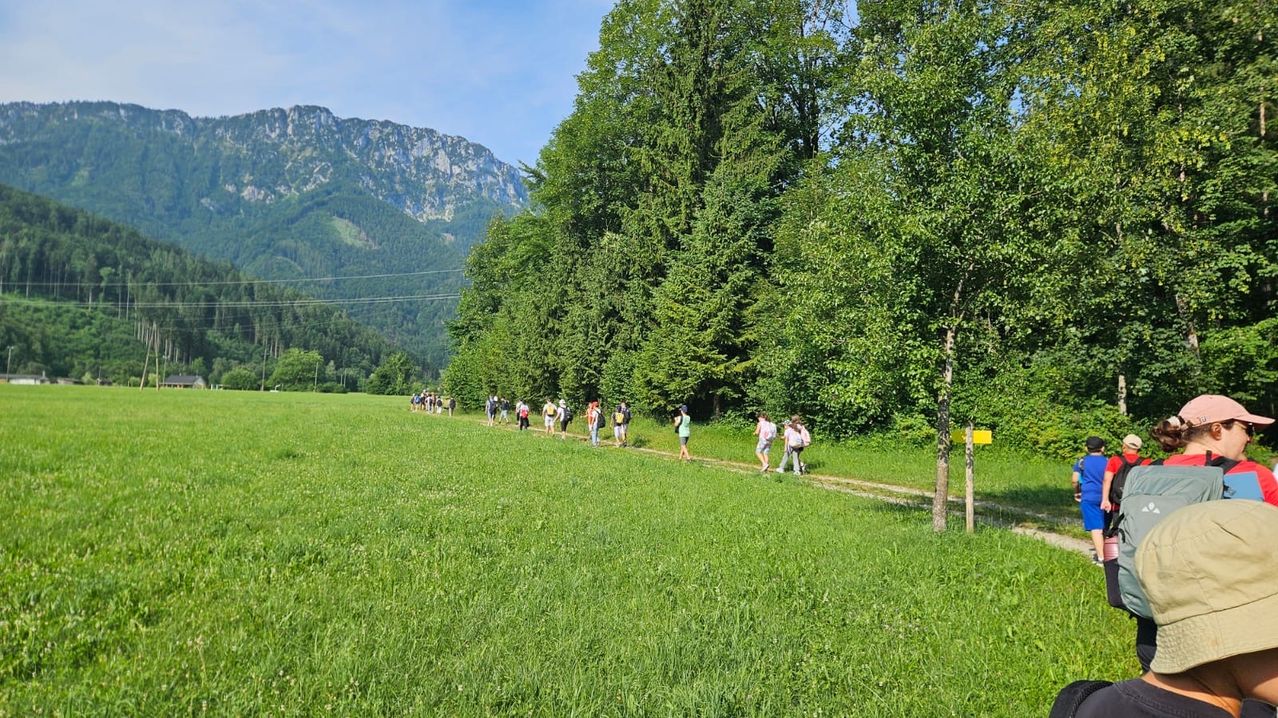 Eine Gruppe von Menschen läuft auf einem Feld mit Bergen und Bäumen im Hintergrund. Der Pfad ist von saftigem grünem Gras und Bäumen umgeben.