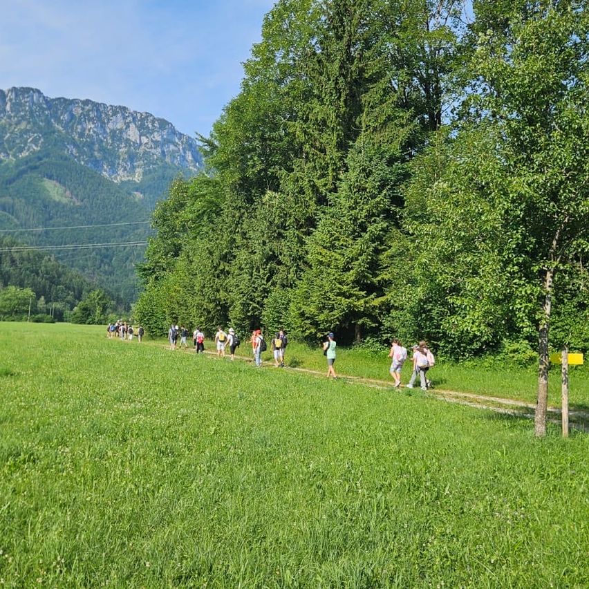 Eine Gruppe von Menschen läuft auf einem Feld mit Bergen und Bäumen im Hintergrund. Der Pfad ist von saftigem grünem Gras und Bäumen umgeben.