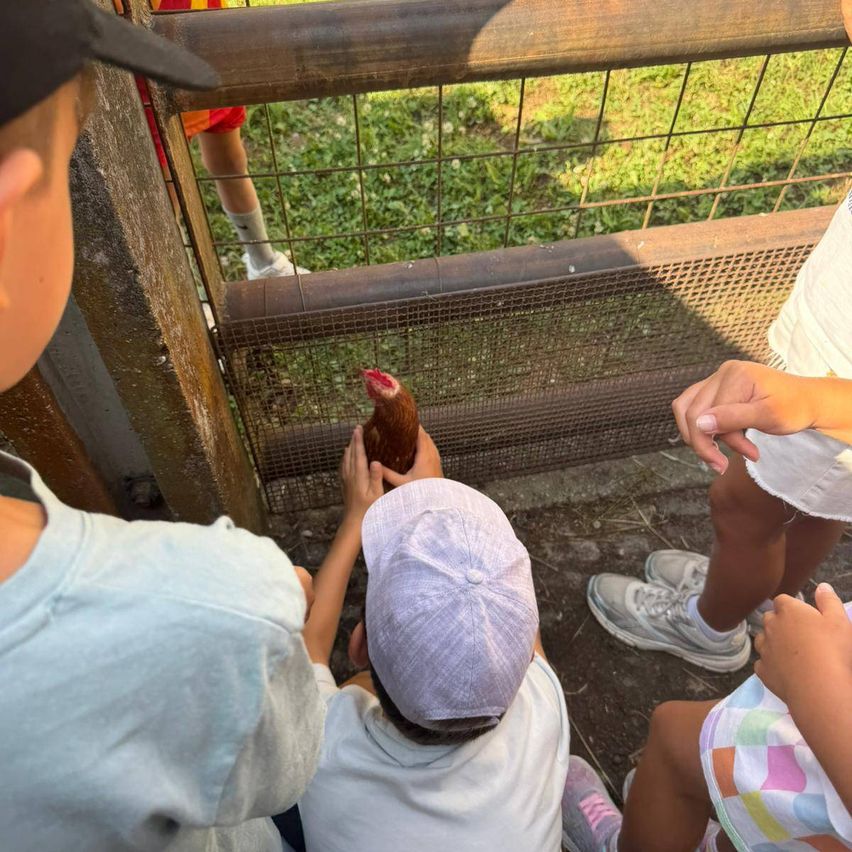 Eine Gruppe von Kindern im Zoo. Ein Kind hält ein Huhn. Sie schauen durch einen Drahtzaun.