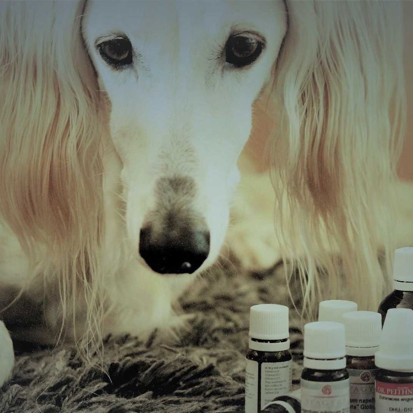 v1_migrated_image_12744004