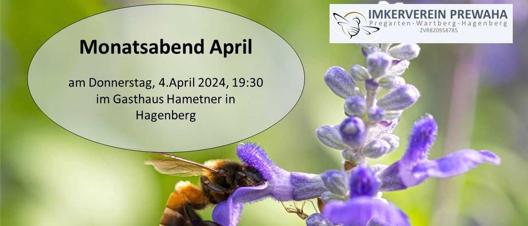 Animal, Bee, Honey Bee, Wasp, Apidae, Flower, Bumblebee, Lavender