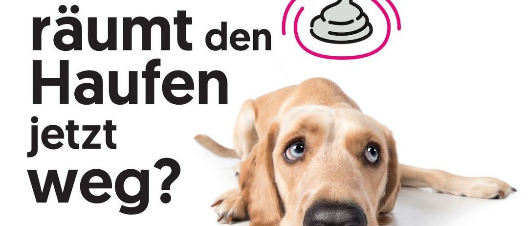 Bild enthält, Animal, Canine, Dog, Mammal, Pet, Hound