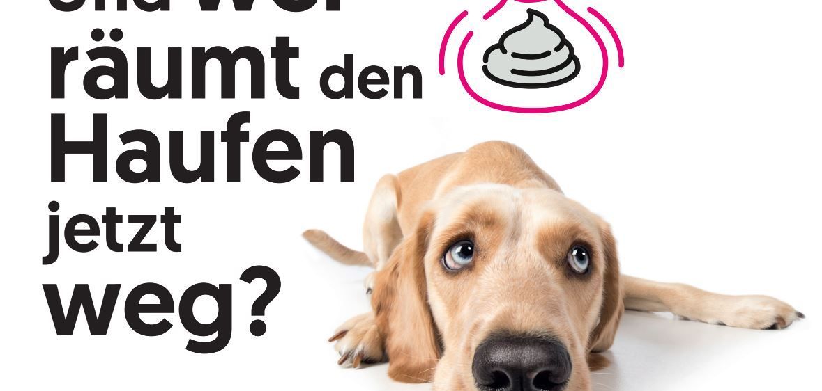 Bild enthält, Animal, Canine, Dog, Mammal, Pet, Hound