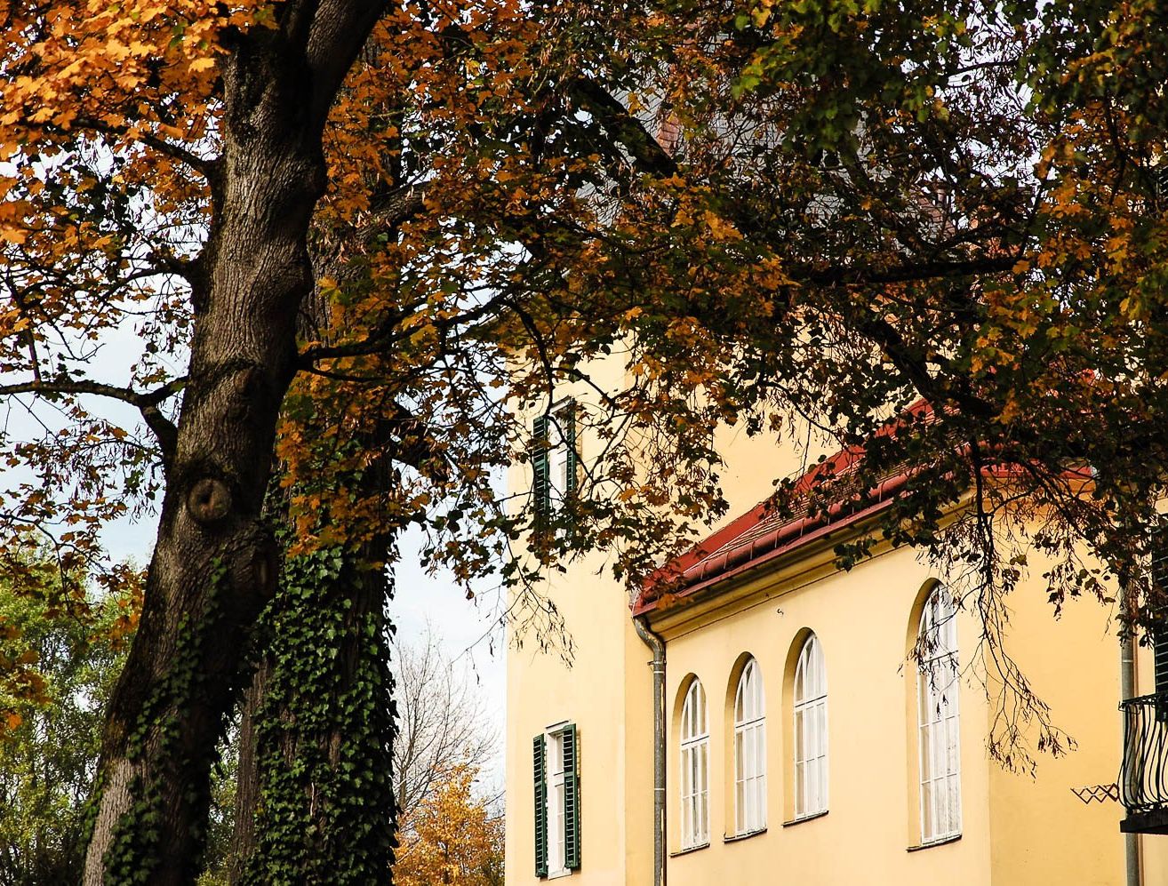 Ein Gebäude mit gelben Wänden und einem roten Dach. Das Gebäude hat Rundbogenfenster. Ein Baum mit grünen und gelben Blättern steht neben dem Gebäude.