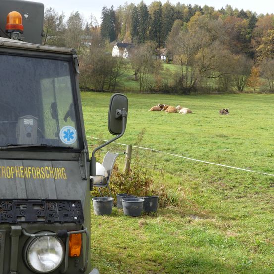 Ein Militärfahrzeug steht auf einem Feld. Im Hintergrund ruhen mehrere Kühe. Im Vordergrund befinden sich Eimer und ein Zaun.