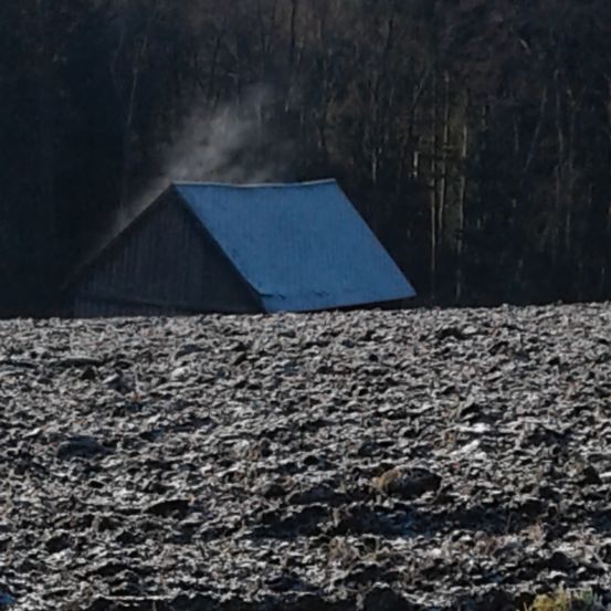 Ein kleines Holzhaus mit einem blauen Dach befindet sich in einem offenen Feld, umgeben von dunklen Bäumen. Rauch steigt vom Dach auf.