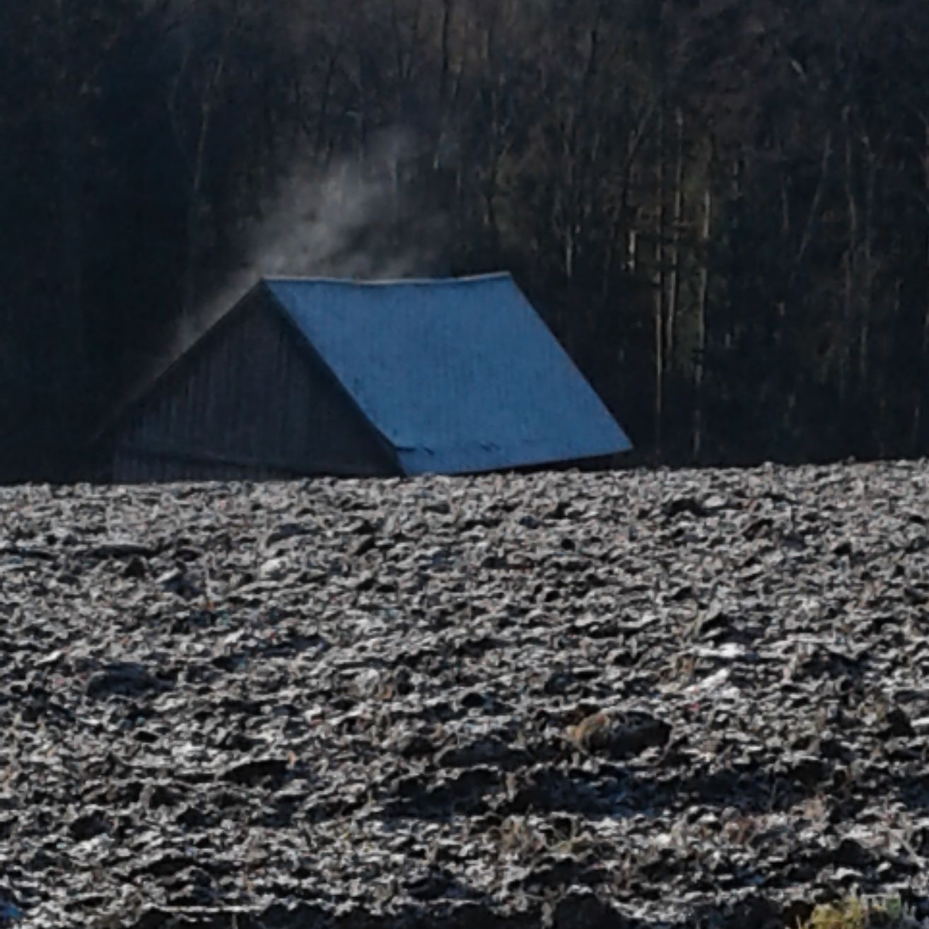 Ein kleines Holzhaus mit einem blauen Dach befindet sich in einem offenen Feld, umgeben von dunklen Bäumen. Rauch steigt vom Dach auf.