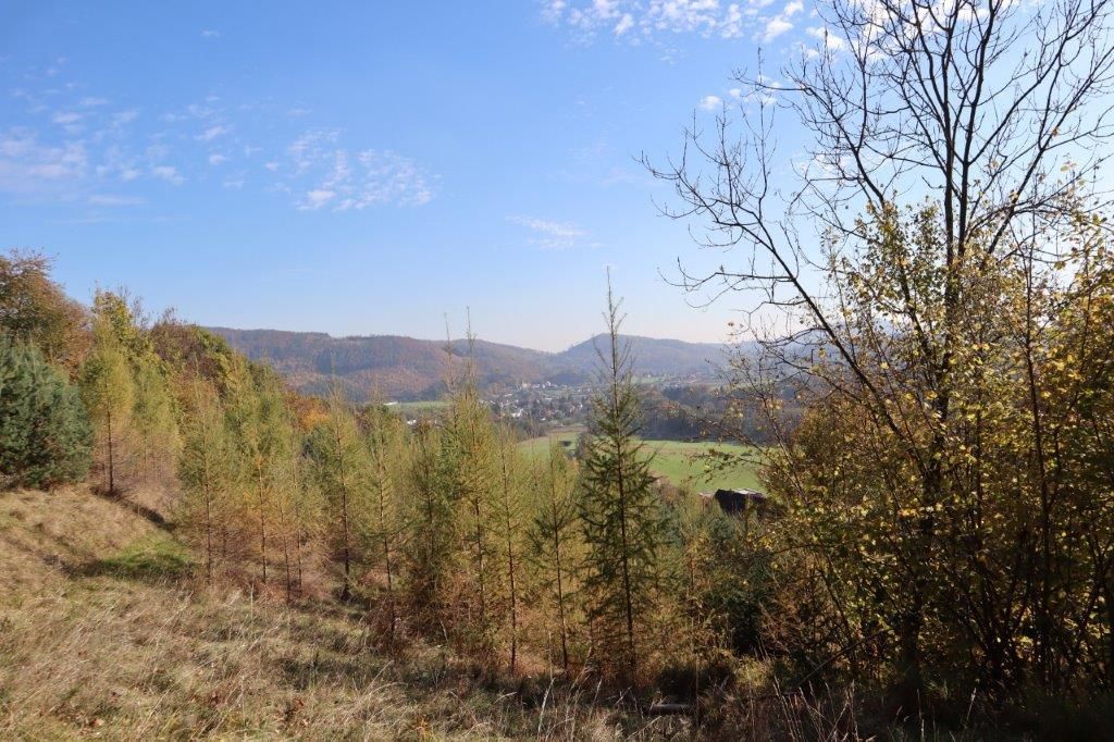 Ein Hügel mit Herbstbäumen und einem grünen Tal darunter, unter einem klaren blauen Himmel mit verstreuten Wolken.