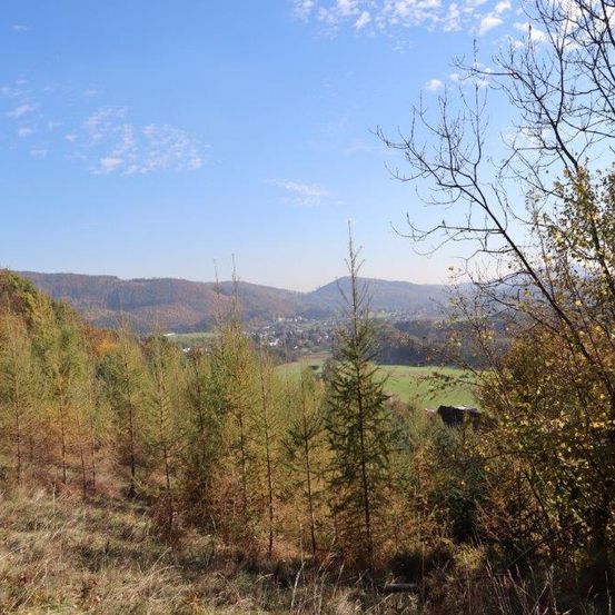 Ein Hügel mit Herbstbäumen und einem grünen Tal darunter, unter einem klaren blauen Himmel mit verstreuten Wolken.