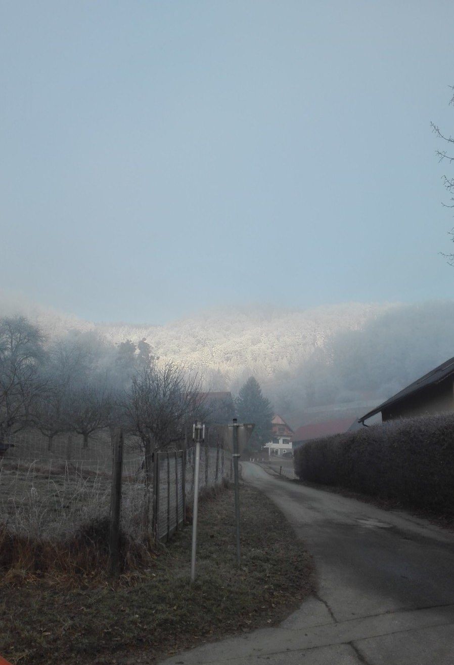 Eine ländliche Szene mit einer nebligen Landschaft, mit einem Weg, Zäunen, Bäumen und Häusern im Hintergrund. Der Himmel ist klar und blau.