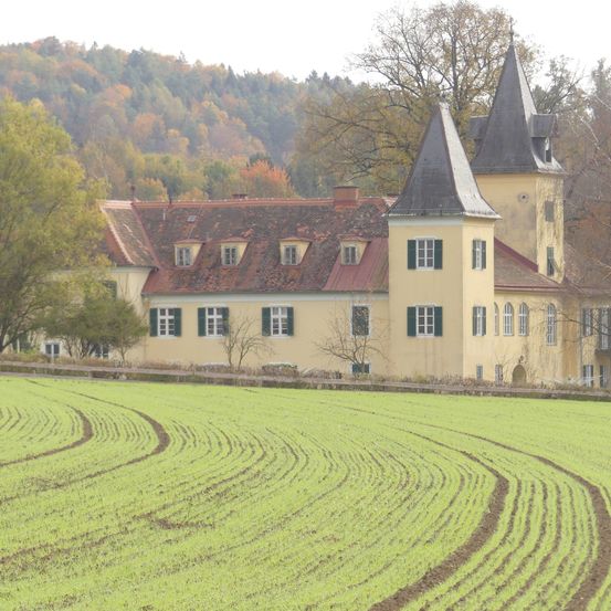 Ein großes gelbes Gebäude mit grünen Fensterläden und zwei Türmen steht vor einem grünen Feld. Dahinter erhebt sich ein Wald mit Bäumen in verschiedenen Herbstfarben bis zu einem entfernten Hügel.