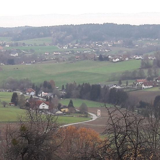 Luftaufnahme einer ländlichen Landschaft mit mehreren Häusern, grünen Feldern und Bäumen. Der Himmel ist bedeckt.