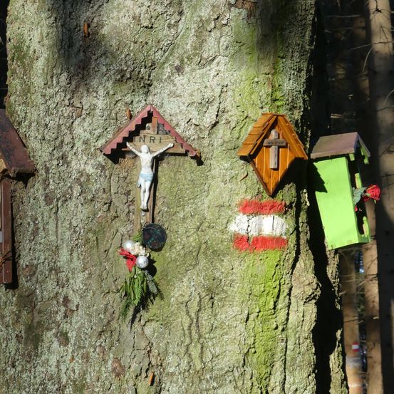 Ein Baum mit verschiedenen kleinen Schreinen und Kreuzen, einer mit einem Kruzifix und einer roten Blume in einem grünen Vogelhäuschen.