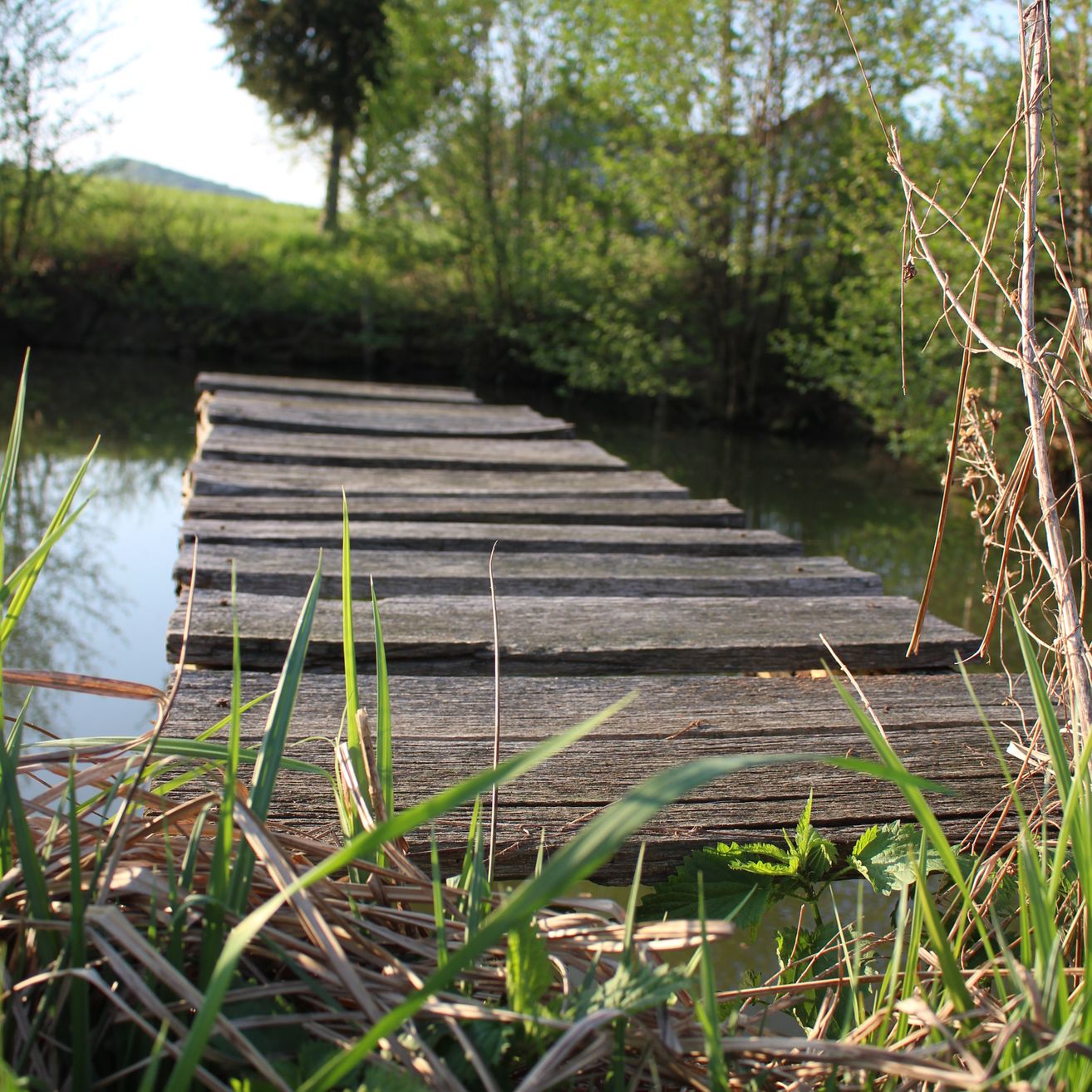 Eine Holzplankenbrücke führt zu den ruhigen Gewässern eines Teichs, umgeben von üppigem Grün und einem entfernten Hügel unter einem hellen Himmel.